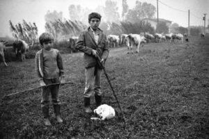 Lungo la statale Cuneo-Margarita, luglio 1978
